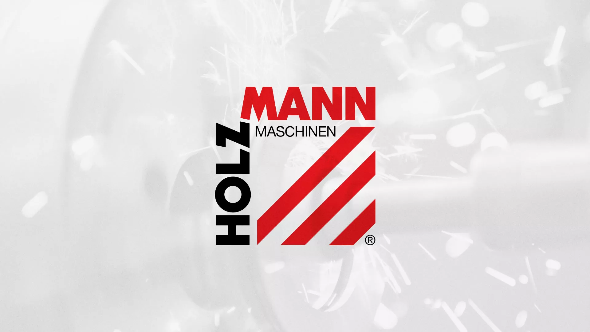 Создание сайта компании «HOLZMANN Maschinen GmbH» в Дорогобуже